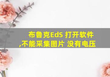 布鲁克EdS 打开软件,不能采集图片 没有电压